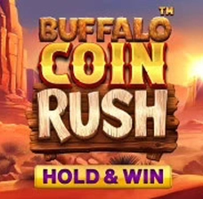 MelBet Casino | Buffalo Coin Rush